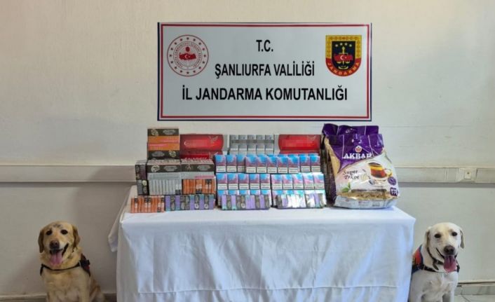 Şanlıurfa’da tütün ve alkol kaçakçılarına darbe