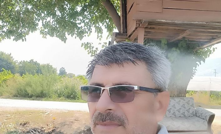 Sarıgöl’ün ağaçkondusu ilgi çekmeye devam ediyor