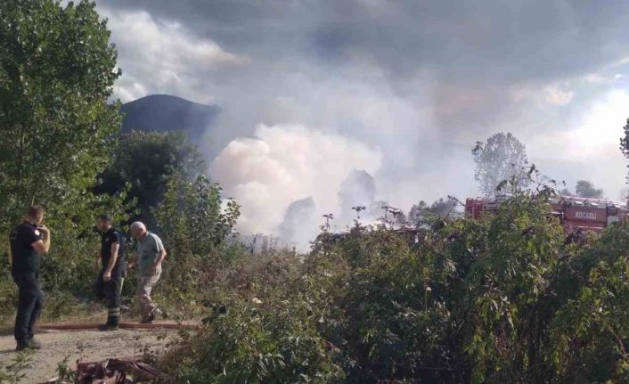 Sazlık alanda korkutan yangın