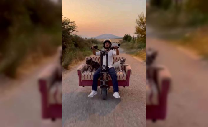 Scootere koltuk monte edip, köpekleriyle yolculuk yaptı