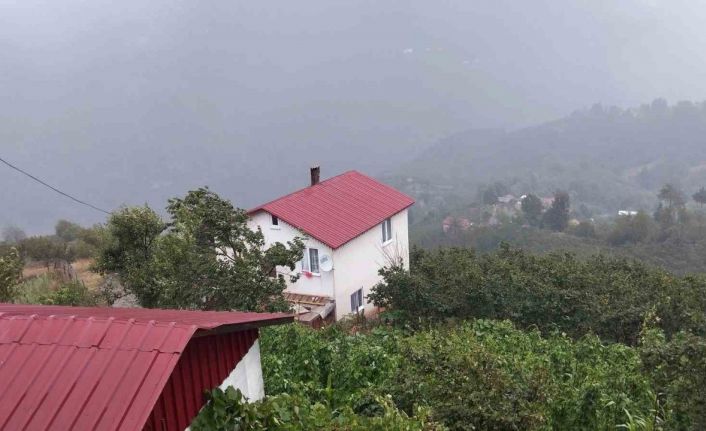 Şehir sıcaktan kavruldu, yaylada yağmur serinletti