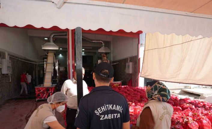 Şehitkamil’den salça denetimi