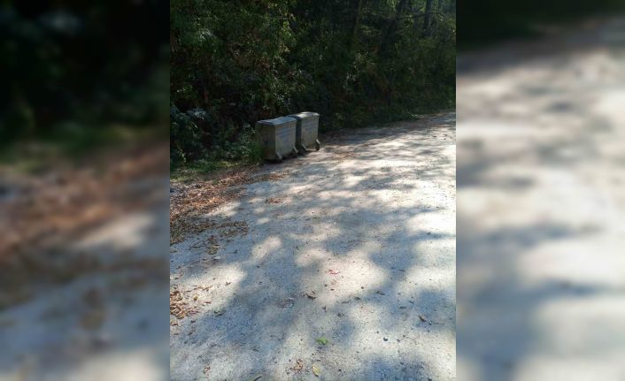 Şeker Kanyonu’ndaki çevre kirliliği giderildi