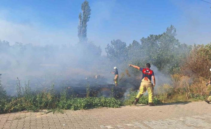 Selçuk’ta sazlık alanda yangın paniği