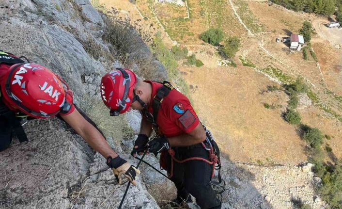 Serik’te uçurumda 3 gündür mahsur kalan keçi, ekipler tarafından kurtarıldı