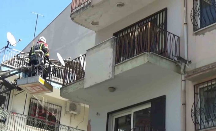 Sevimli kediyi kurtarmak için tüm ekipler seferber oldu, o kurtarılacağı anda atlayıp gitti