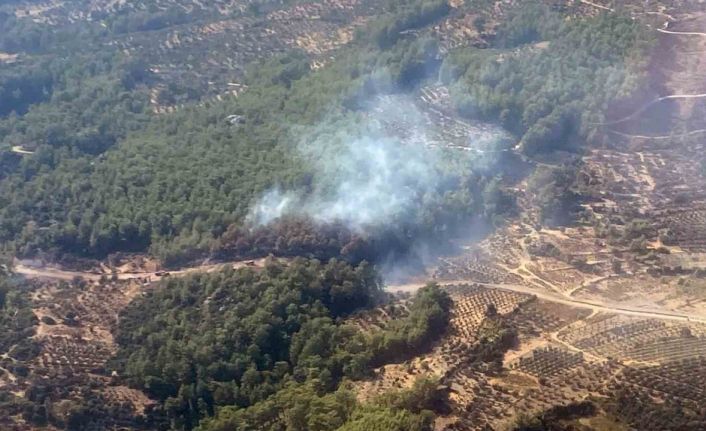 Seydikemer orman yangını kısa sürede kontrol altına alındı
