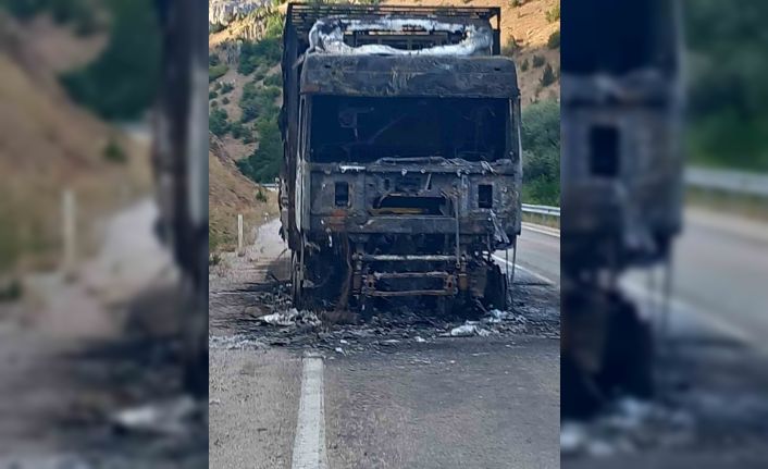 Seyir halindeki çekici alevlere teslim oldu