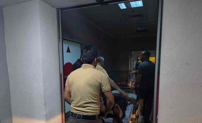 Siirt’te ağaçtan düşen adam yaralandı
