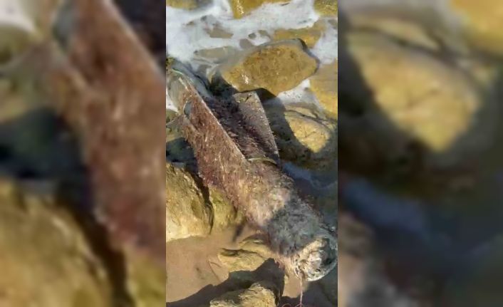 Şile sahilinde roket başlığı olduğu değerlendirilen cisim imha edildi