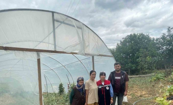 Sinop’ta modern seralar faaliyete geçti