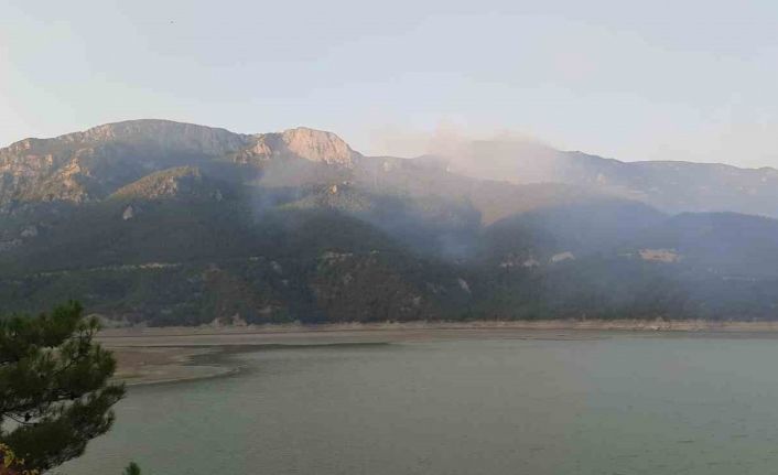 Sinop’taki orman yangınına havadan ve karadan müdahale sürüyor