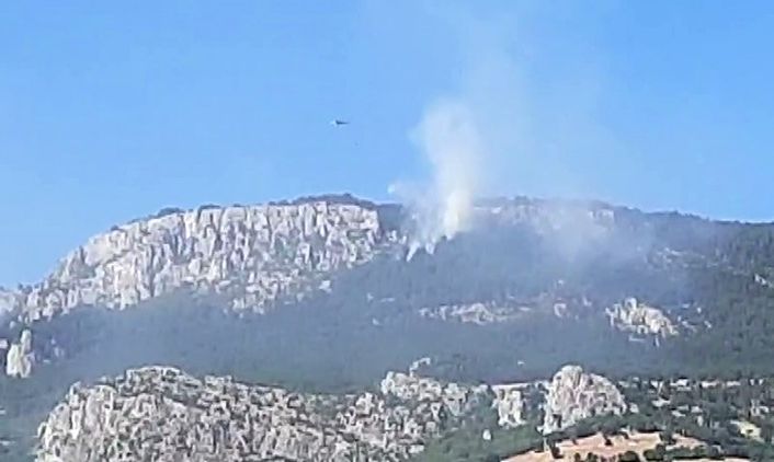 Sinop’taki orman yangınında soğutma çalışmaları devam ediyor