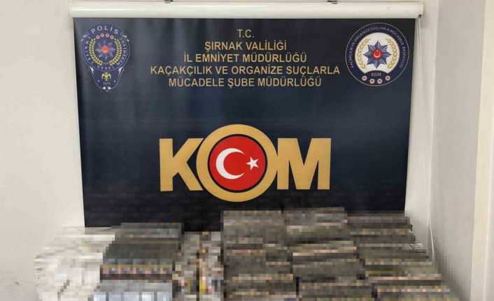 Şırnak’ta asayiş, kaçakçılık ve narkotik operasyonu