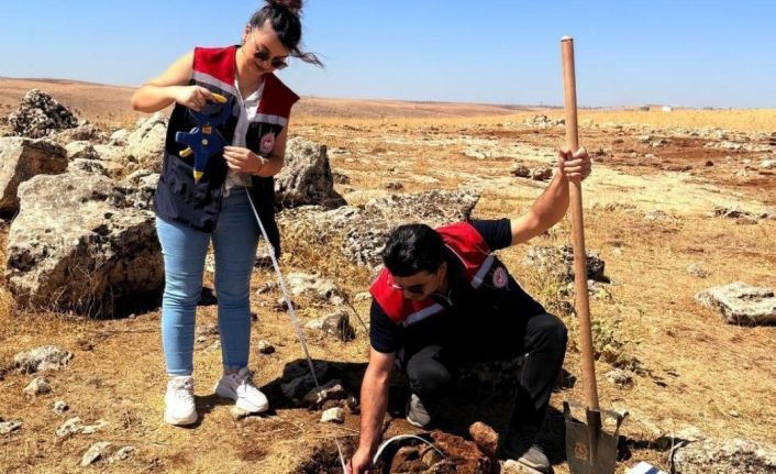 Şırnak’ta tarımsal üretime yön verecek etüt çalışmaları başladı