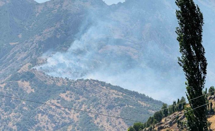 Şırnak’taki orman yangını 9 saatte kontrol altına alındı