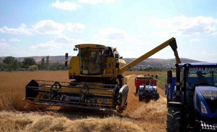 Sivas Cumhuriyet Üniversitesi’nde hasat bereketi başladı