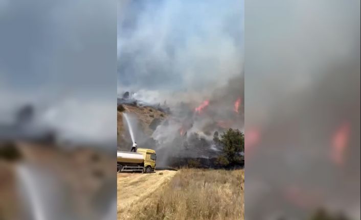 Sivas’ta ağaçlık alanda yangın çıktı, ekiplerin müdahalesi sürüyor