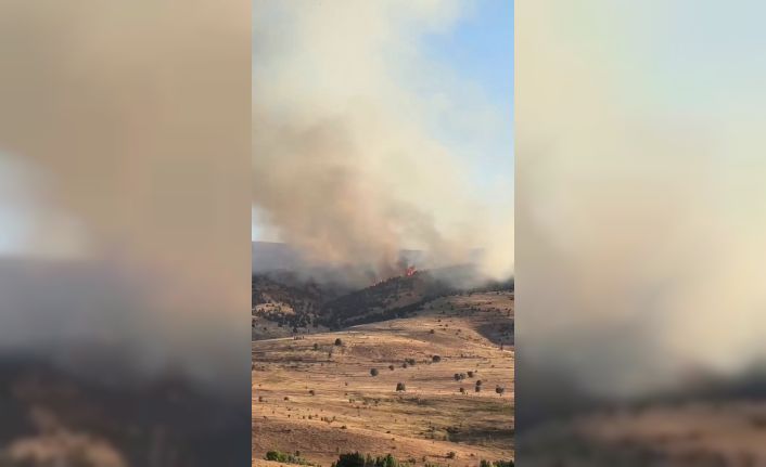 Sivas’ta çıkan örtü yangınına müdahale sürüyor
