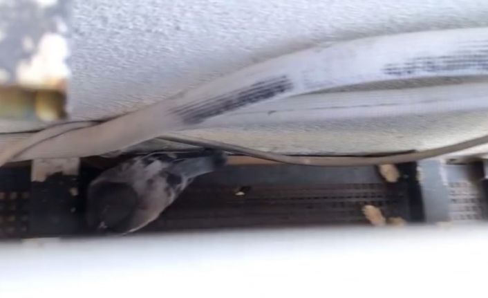 Sivas’ta klima havalandırmasına sıkışan güvercini itfaiye kurtardı