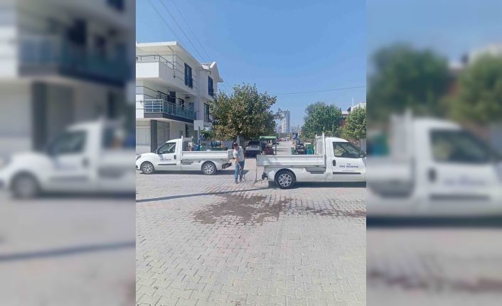 Söke Belediyesi’nden haşerelere karşı "Nokta Atışı" mücadele