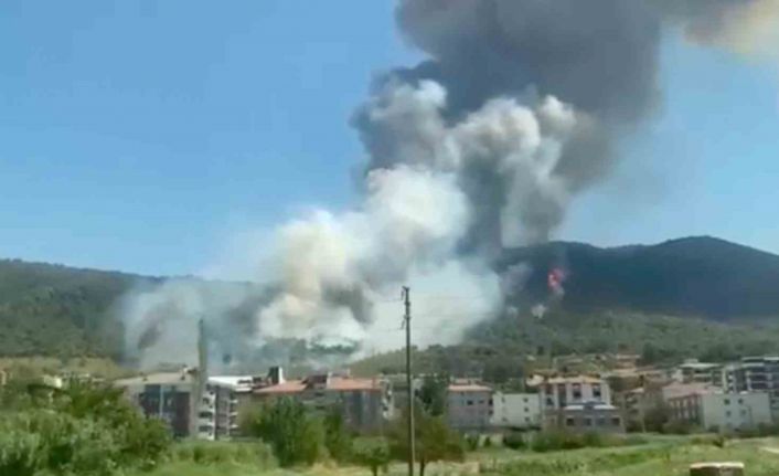 Soma’da orman yangını