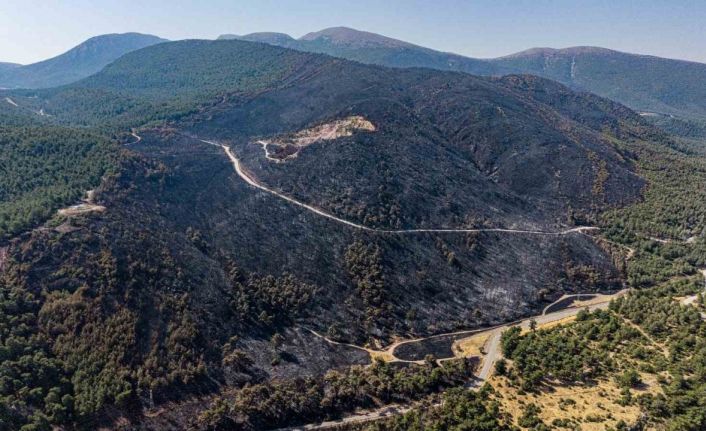 Soma’daki orman yangınında soğutma çalışmaları sürüyor