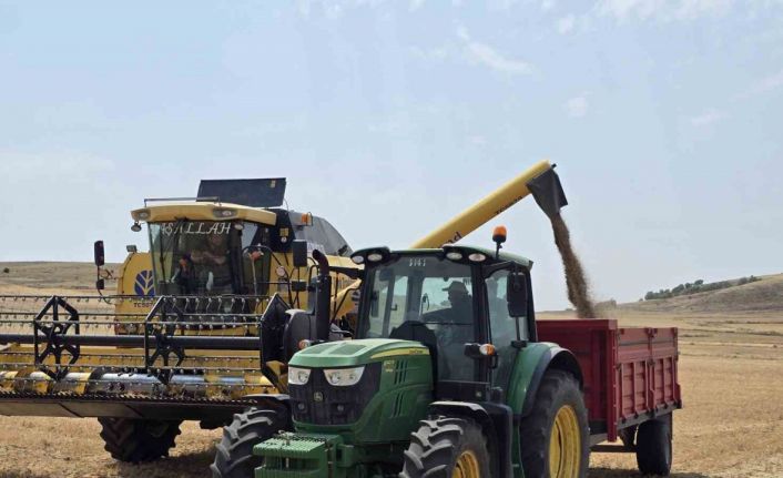 Sorgunlu üretici nohut için tescil istiyor