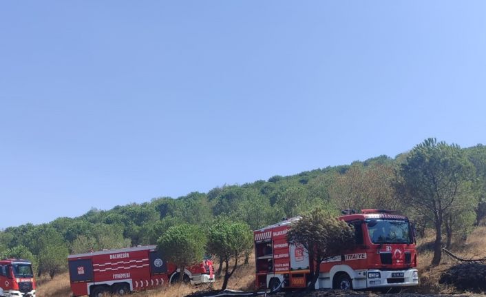 Susurluk’ta orman yangını kontrol altına alındı