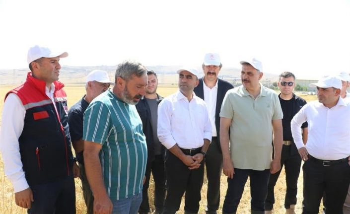 Tarımsal üretime gençlik aşısı