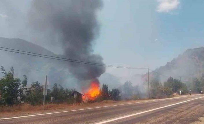 Tarlada çıkan yangın samanlığı küle çevirdi
