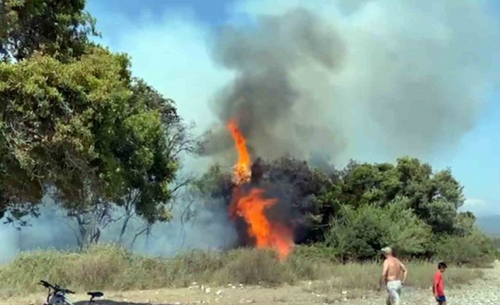 Tatilcilerden ‘Alev Savaşçıları’na alkışlı destek