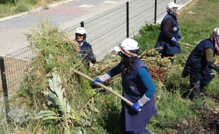 Tavşanlı’da kadın işçilerin sıcağa karşı mücadelesi
