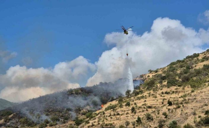 Tekirdağ Şarköy’de makilik alanda çıkan yangına müdahale ediliyor