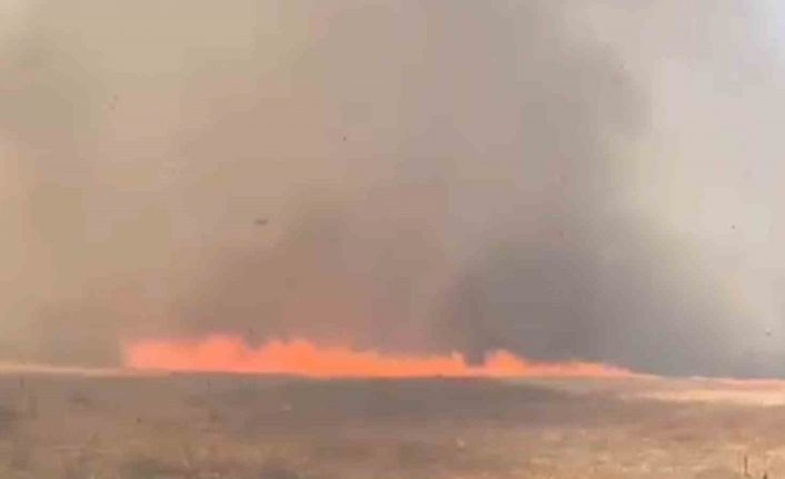 Tekirdağ’da alevler tarla ve ormanı sardı: 10 ev boşaltıldı