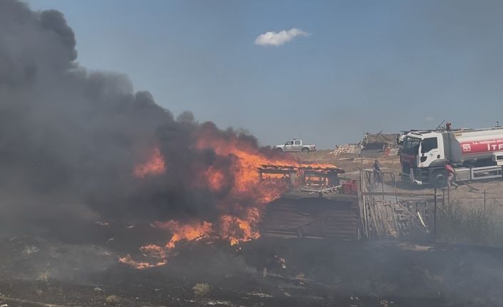 Tekirdağ’da besi çiftliğinde yangın