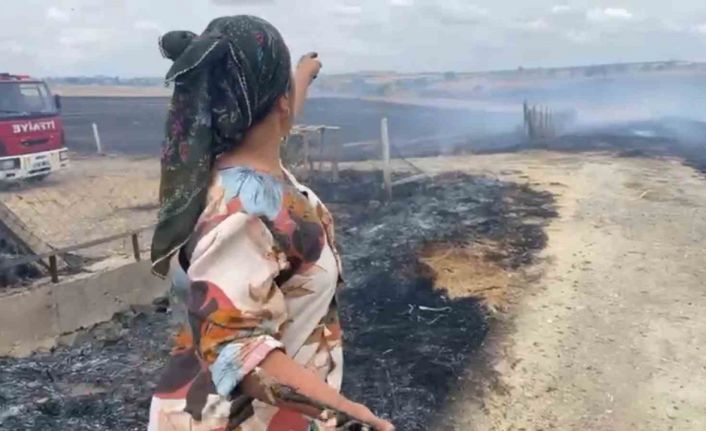 Tekirdağ’da çıkan yangın yerleşim alanlarını tehdit etti