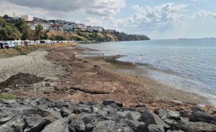 Tekirdağ’da deniz adeta kara toprak parçasına dönüştü