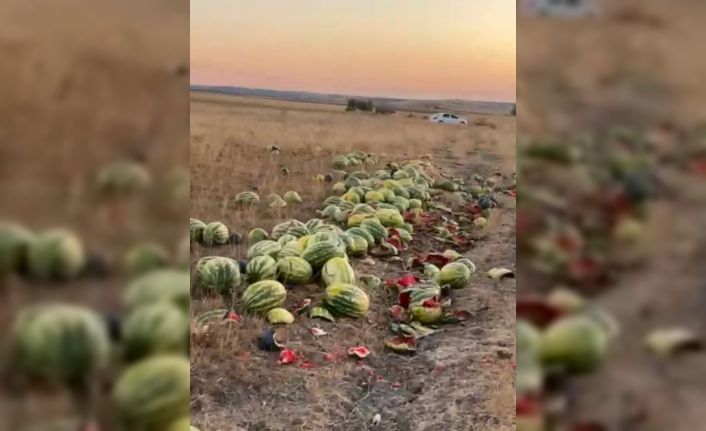 Tekirdağ’da israf tepkisi: Karpuzlar yola saçıldı