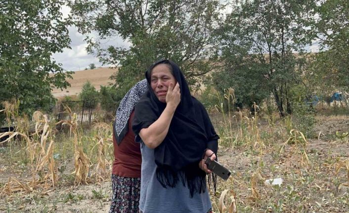 Tekirdağ’da korkutan yangın: Mahsur kalan kediler için ağladılar