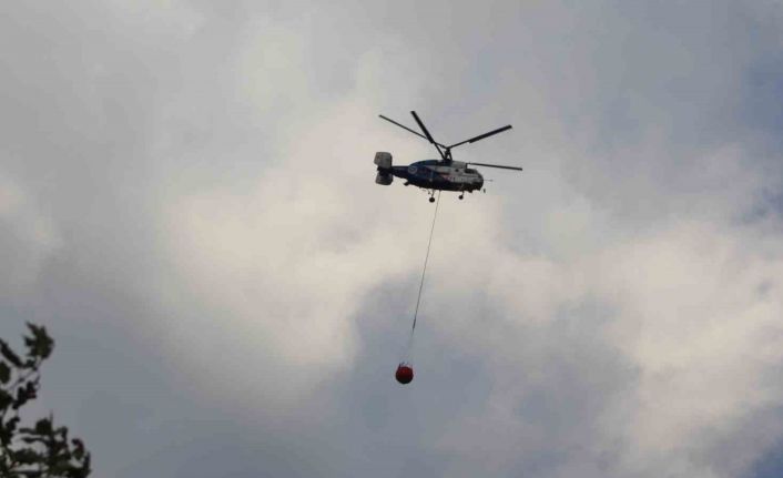 Tekirdağ’da orman yangınında soğutma çalışmaları sürüyor