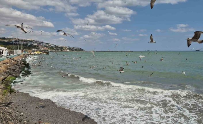 Tekirdağ’da poyraz deniz ulaşımını aksattı