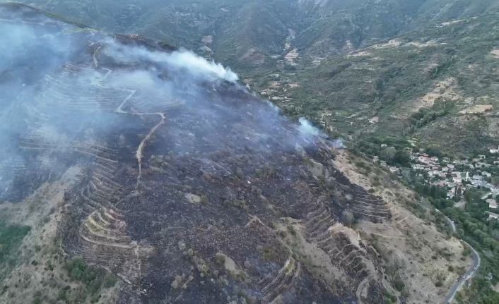 Tekirdağ’daki orman yangınını söndürme çalışmaları sürüyor