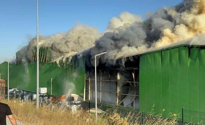 Teksüt fabrikasında korkutan yangın
