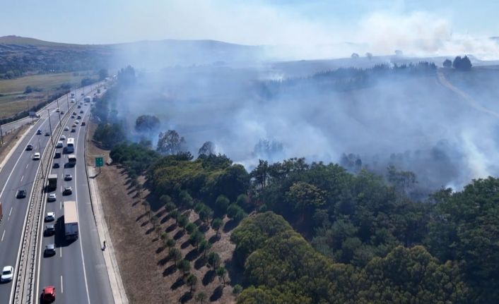 TEM Otoyolu kenarındaki ağaçlık alanda çıkan yangın söndürüldü