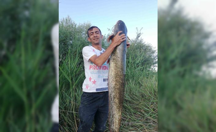 Timsah sandılar balık çıktı