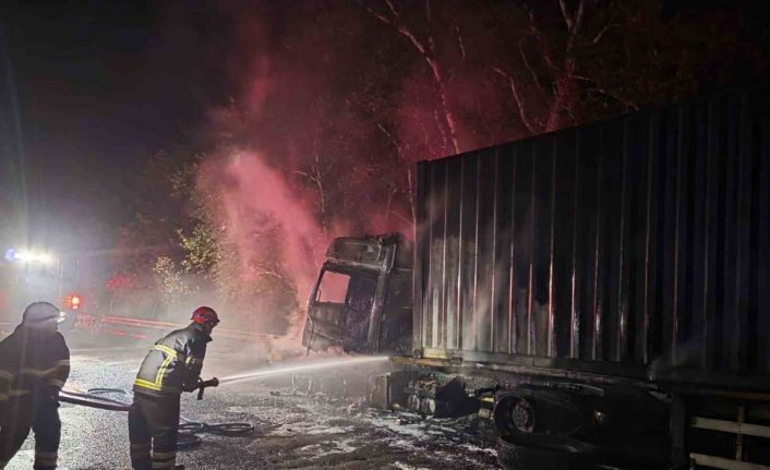 Tırdan ormanlık alana sıçrayan yangın söndürüldü