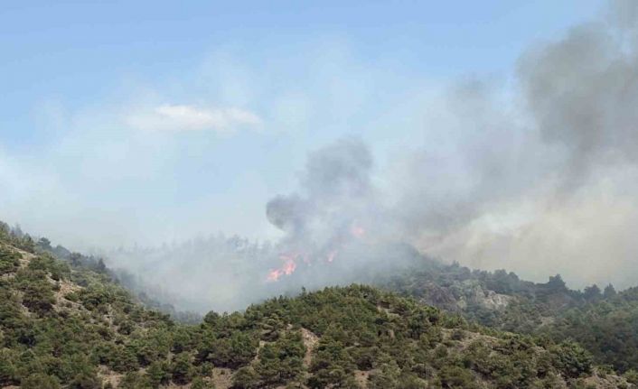 Tokat’ın Erbaa ilçesinde çıkan orman yangınına müdahale ediliyor