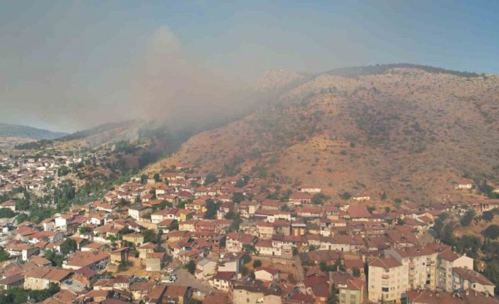 Tokat’ta otluk alanda başlayan yangın ağaçlık alana sıçradı