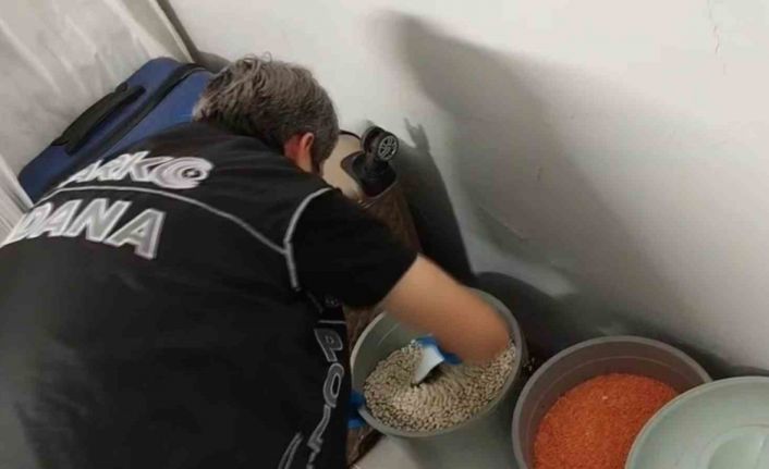 Torbacının bonzai zulası ’fasulye’ dolu kova çıktı: 6 tutuklama